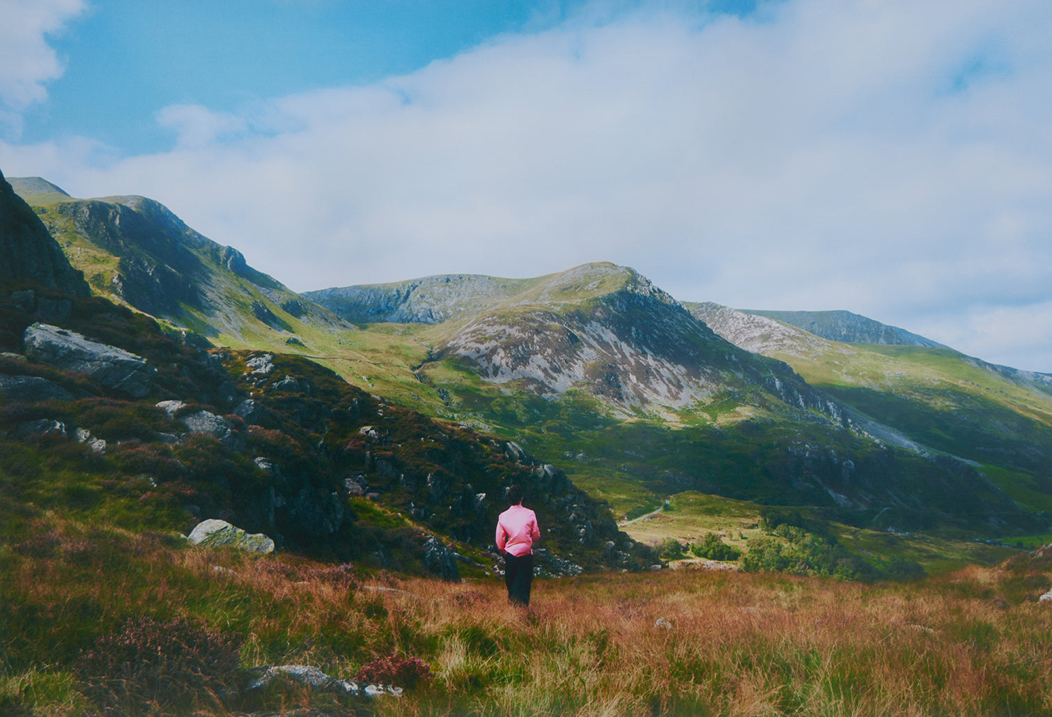 Portraits In Pink: Morgan Roberts